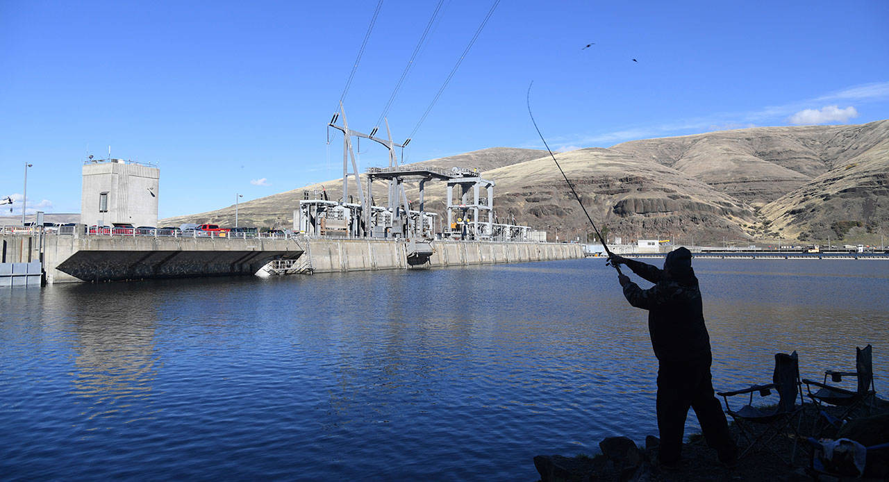 A man fishes for salmon in the Snake River above the Lower Granite Dam in Washington on Oct. 19, 2016, A group that represents farmers says saving imperiled salmon in the largest river system in the Northwest is too costly and is turning to the Trump administration. (Jesse Tinsley /The Spokesman-Review via AP)