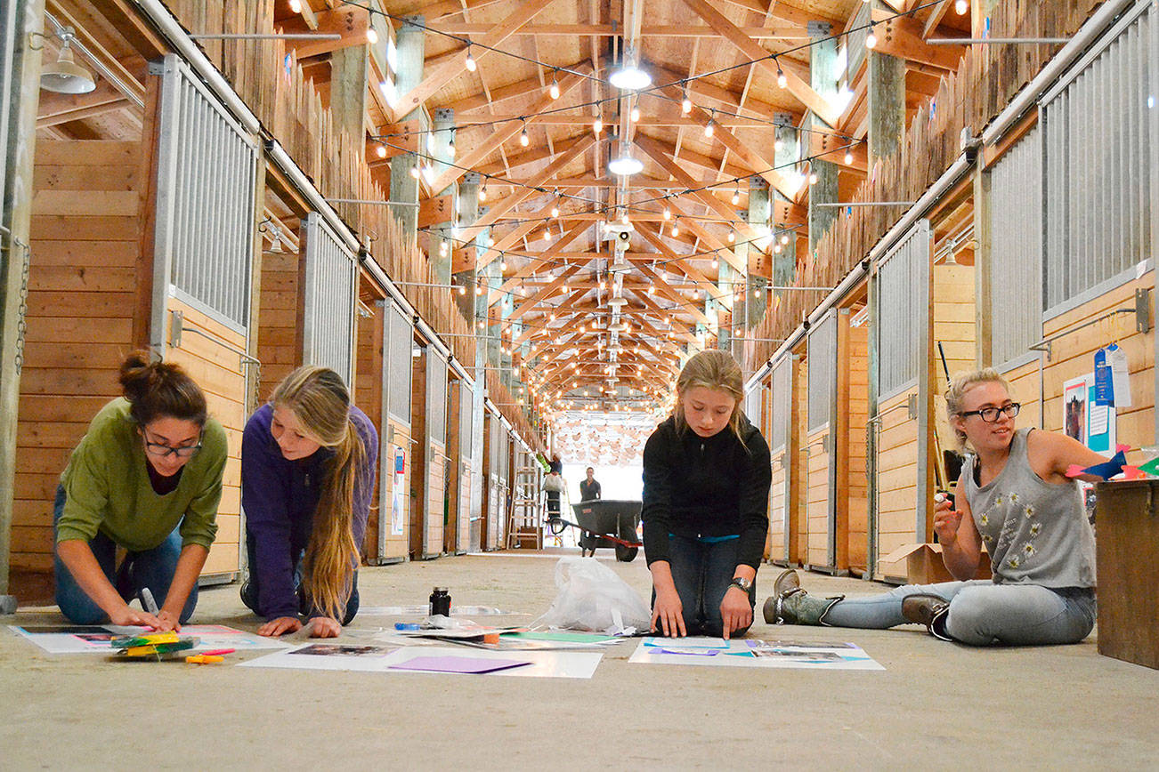 Rides, shows, food, music enliven Clallam County Fair