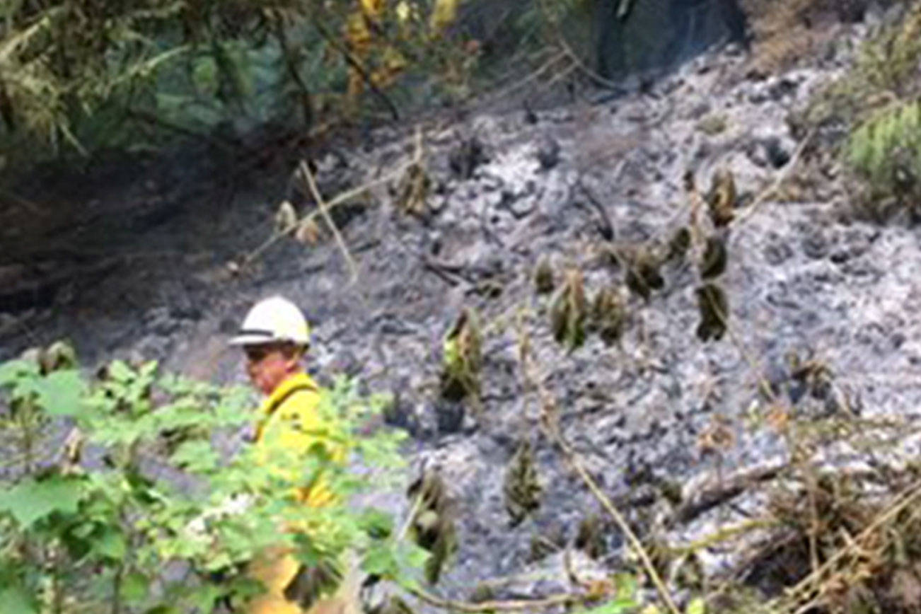 Brush fire sends up smoke from Tumwater Truck Route