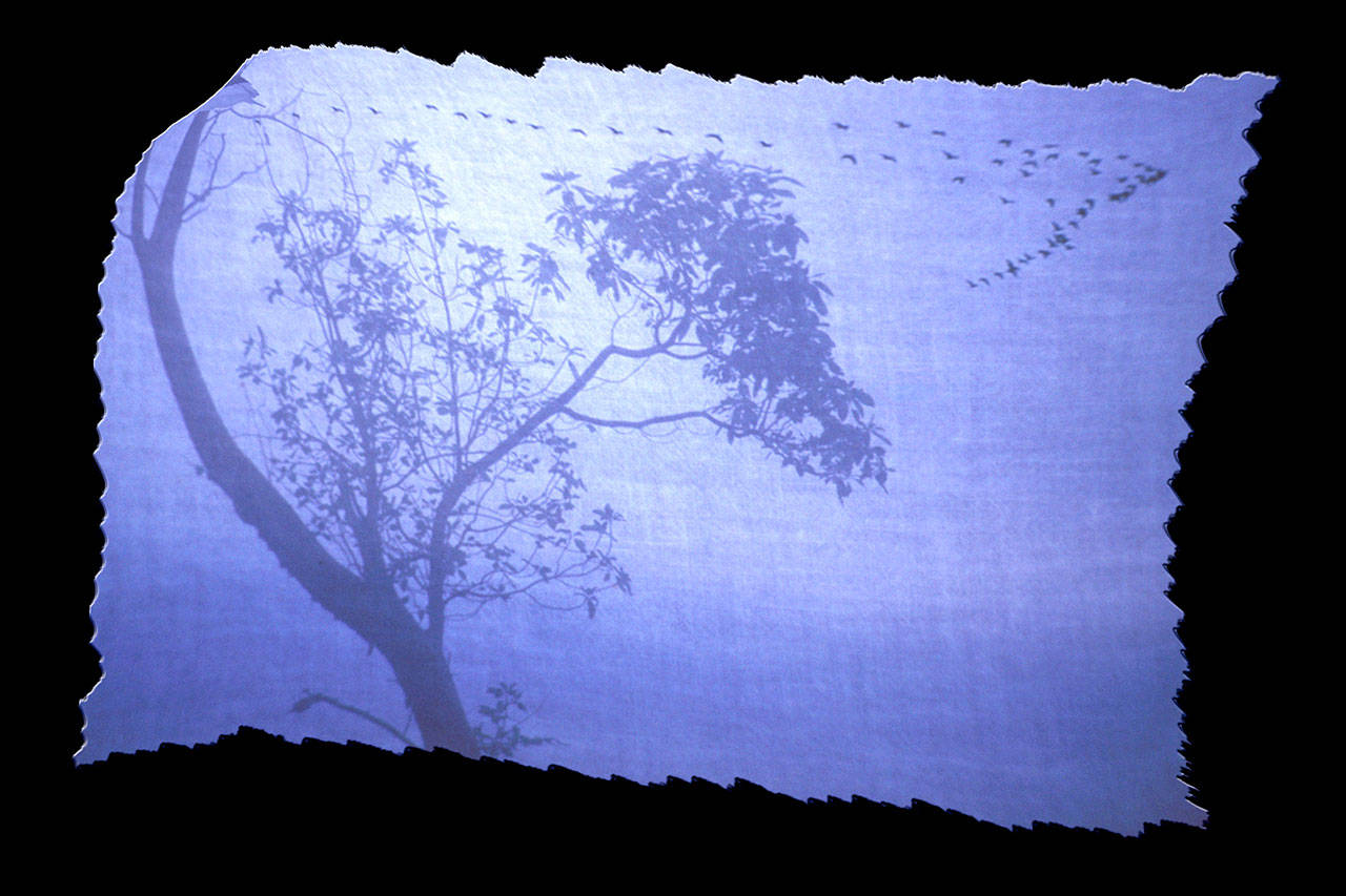 “Fly by Night” by Jan Kepley will be on display at Pacific Pantry.