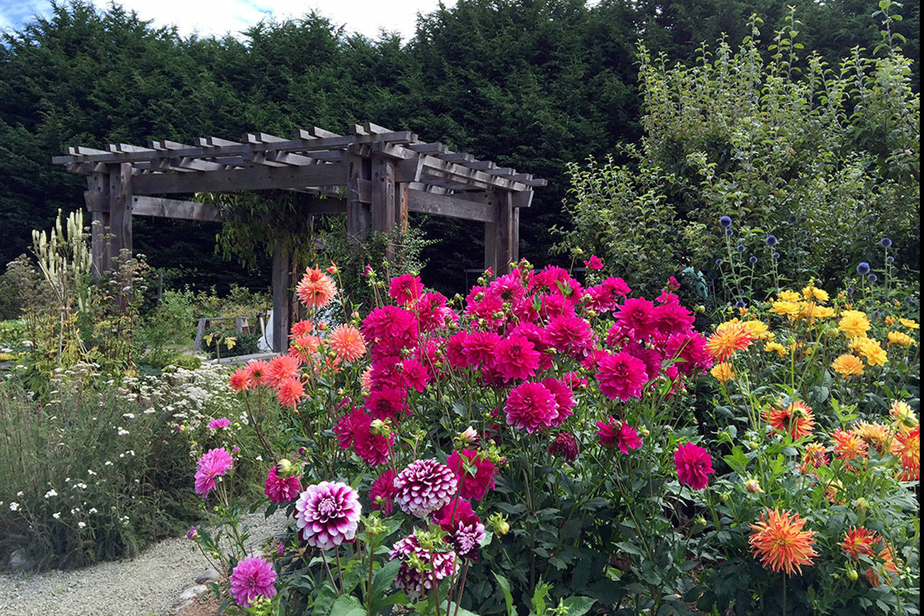 Master Gardeners host free festival this Saturday