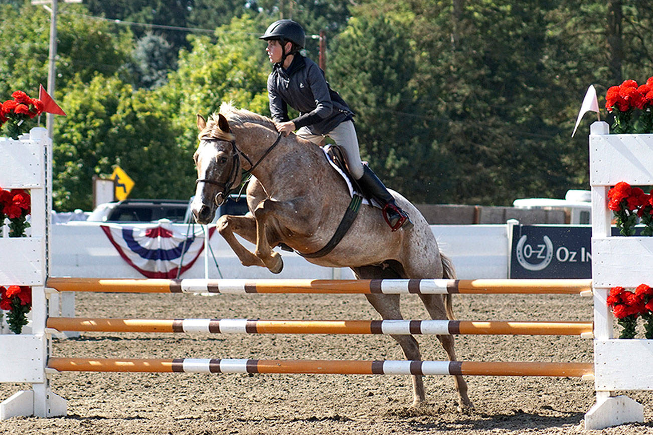 HORSEPLAY: Fresh water is important for animals
