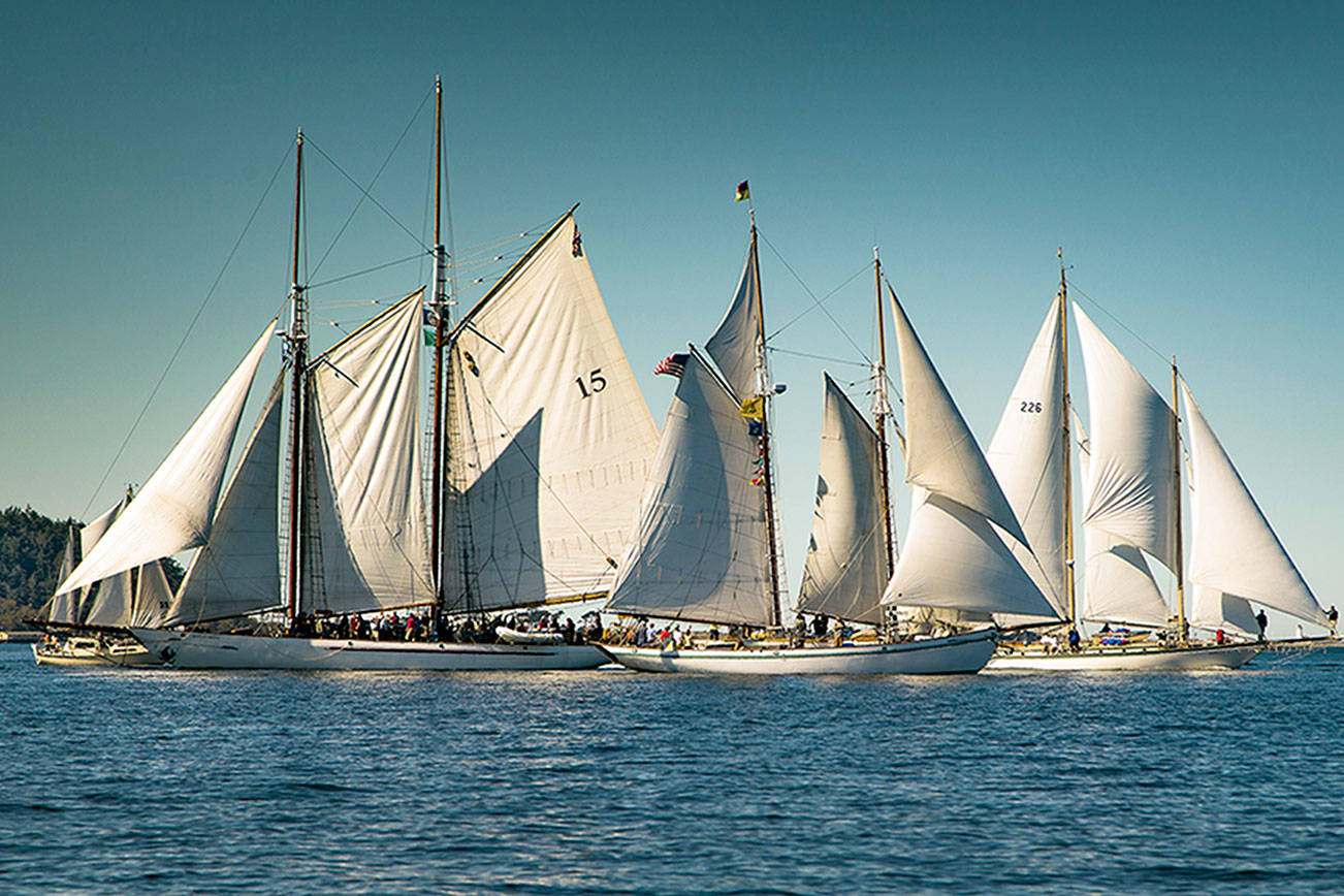Plethora of maritime experiences offered at Wooden Boat Festival