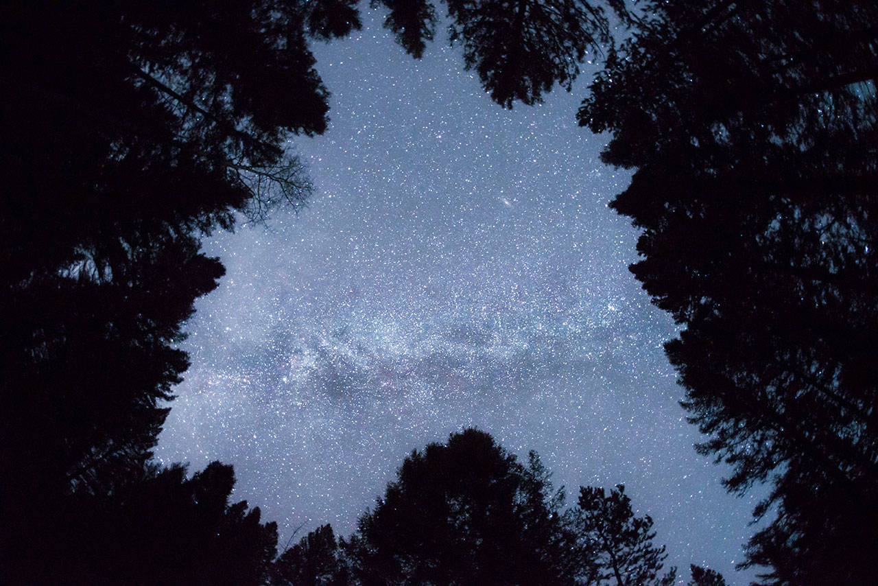 This Nov. 5, 2016, photo provided by Nils Ribi Photography shows the Milky Way in the night sky at the foot of the Boulder Mountains in the Sawtooth National Recreation Area, Idaho. (Nils Ribi Photography via AP)