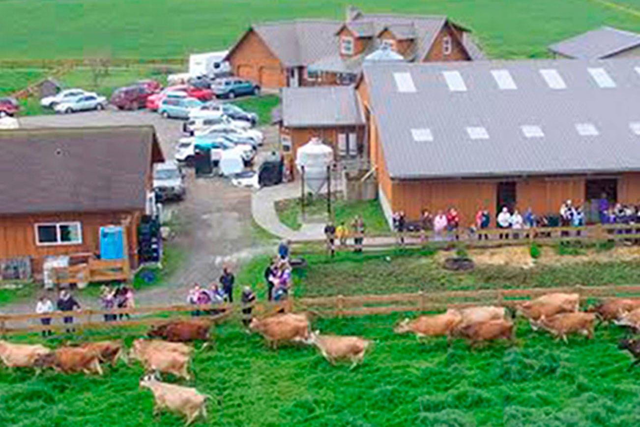 Family Farm Day offers a one-stop farm tour