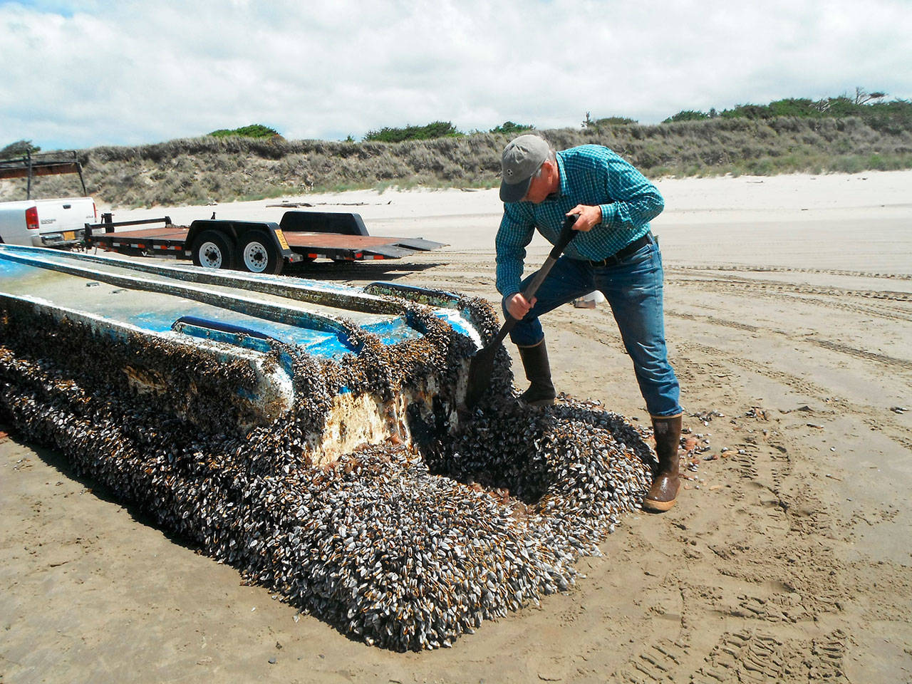 This undated photo shows researcher John Chapman inspecting a Japanese vessel that washed ashore on Long Beach. (Russ Lewis via AP)