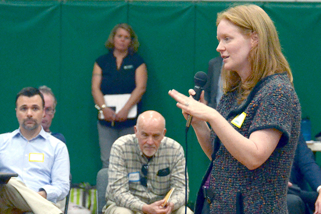 Mountain View Commons as community resilience center topic of workshops