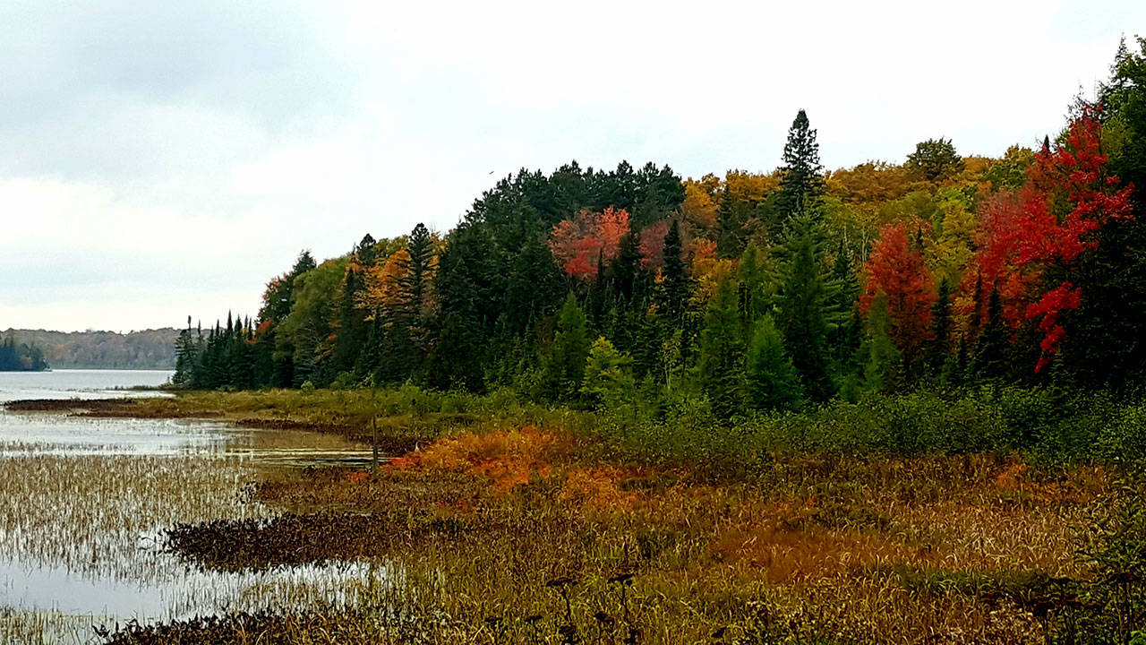 A fall foliage scene in northern Wisconsin. (Andrew May/for Peninsula Daily News)