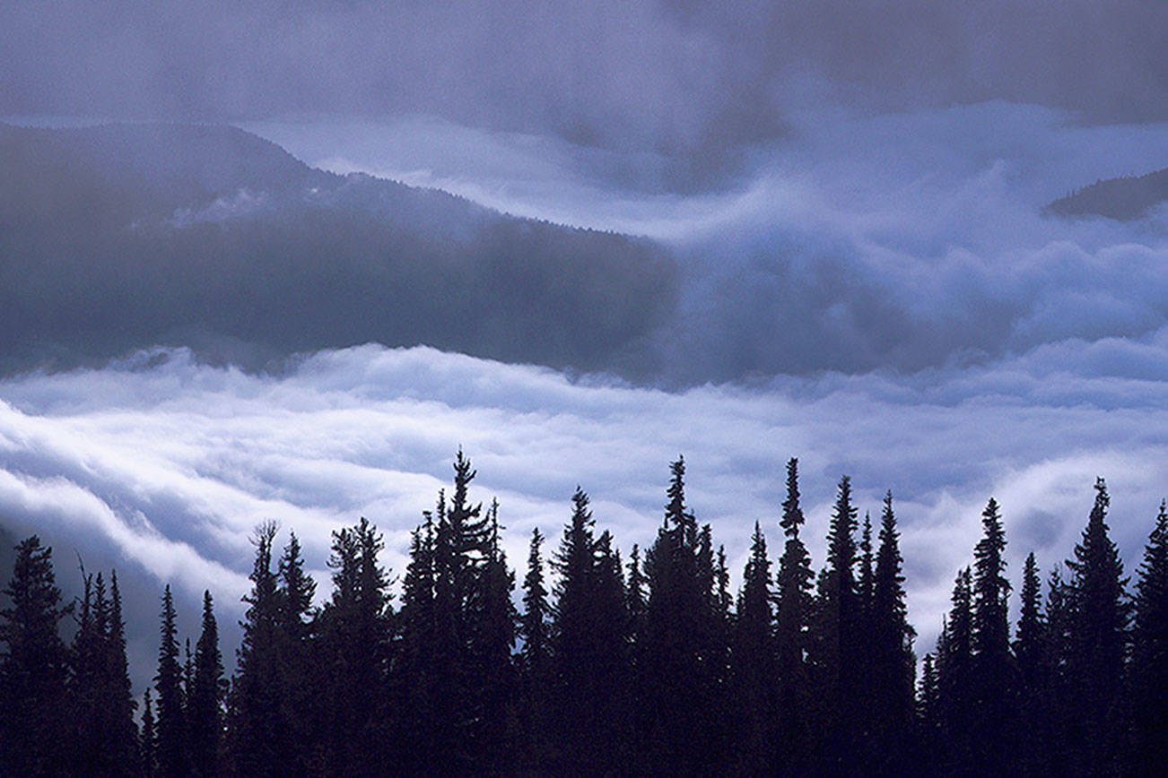 Paintings, sculpture, photography to be viewed on Port Angeles Art Walk