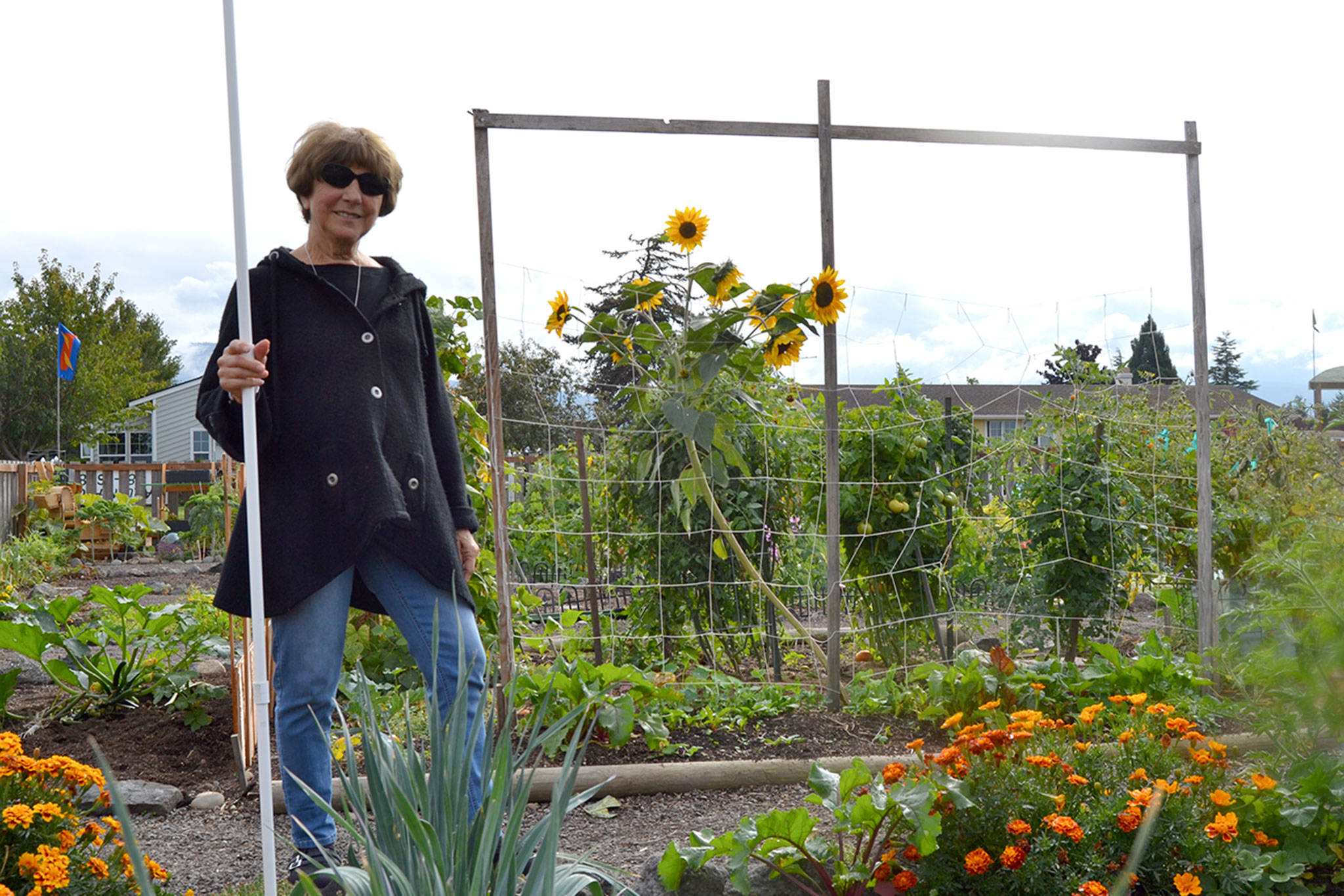 Matthew Nash/Olympic Peninsula News Group                                Liz Harper stands in the Fir Street Garden for the Community Organic Gardens of Sequim, which she helped start more than nine years ago. She’s planning to move for health reasons but said she’s proud of people’s efforts. “It’s a true community garden,” she said.