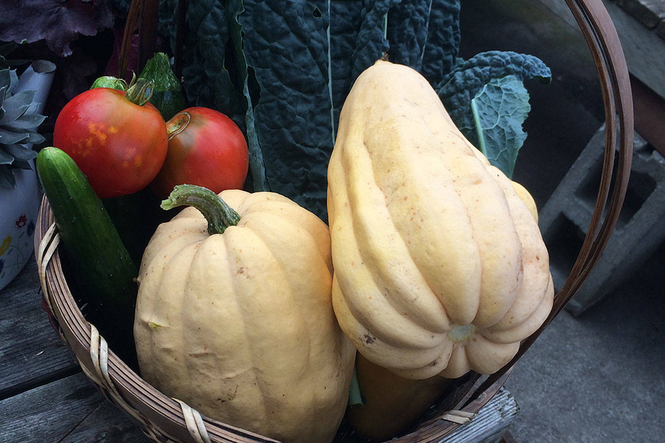 PENINSULA KITCHEN: Warm up this fall with curried winter squash soup