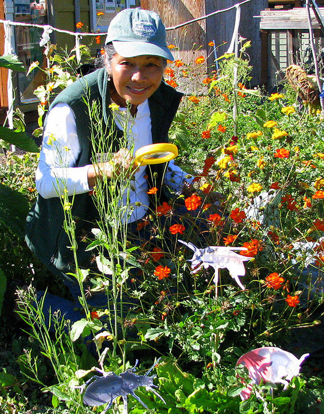 ‘Green Thumb’ series presenter to talk about beneficial insects today