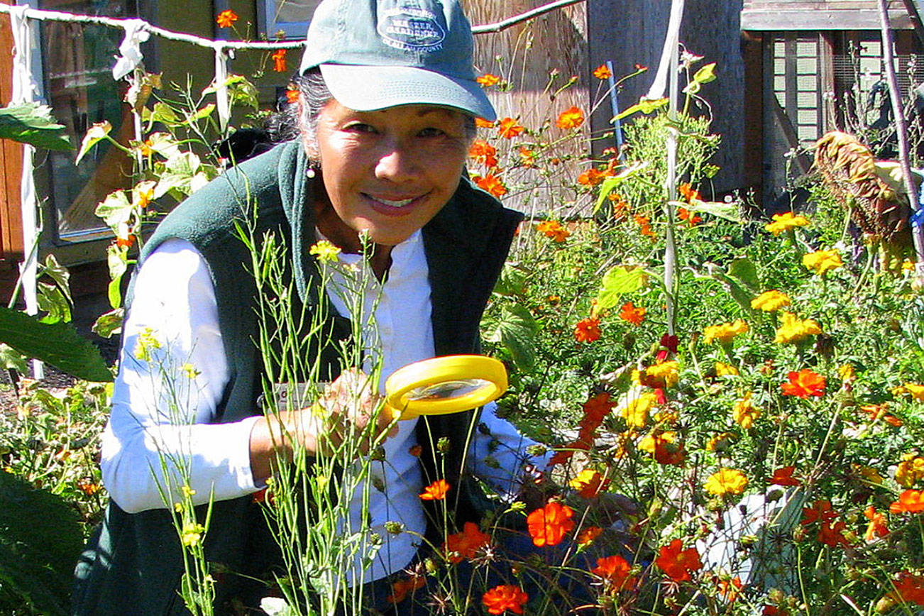 ‘Green Thumb’ series presenter to talk about beneficial insects today