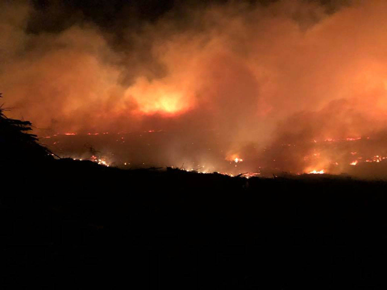 A state Department of Natural Resources prescribed burn got out of control Sunday night and burned 80 acres near state Highway 104 between Quilcene and Chimacum. (Larry Karp/Quilcene Fire Rescue)