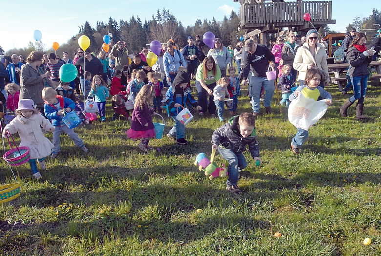Egg-seekers pour over a field at The Pumpkin Patch west of Sequim at the 37th annual KONP Easter egg hunt Saturday. Hundreds of children and their parents set out in search of about 3