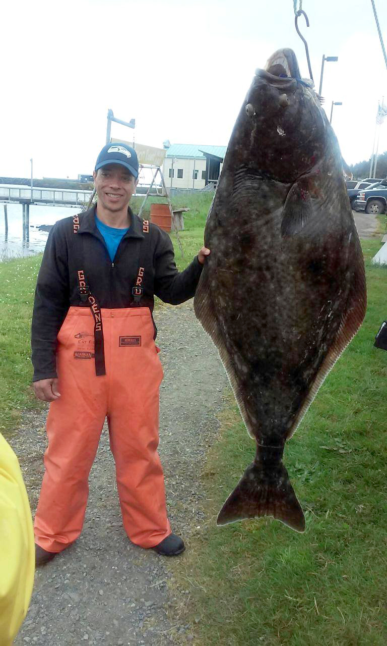 Seattle-area angler David Lewis caught this 126-pound halibut last Thursday at the Garbage Dump hole off Neah Bay. (Big Salmon Resort)