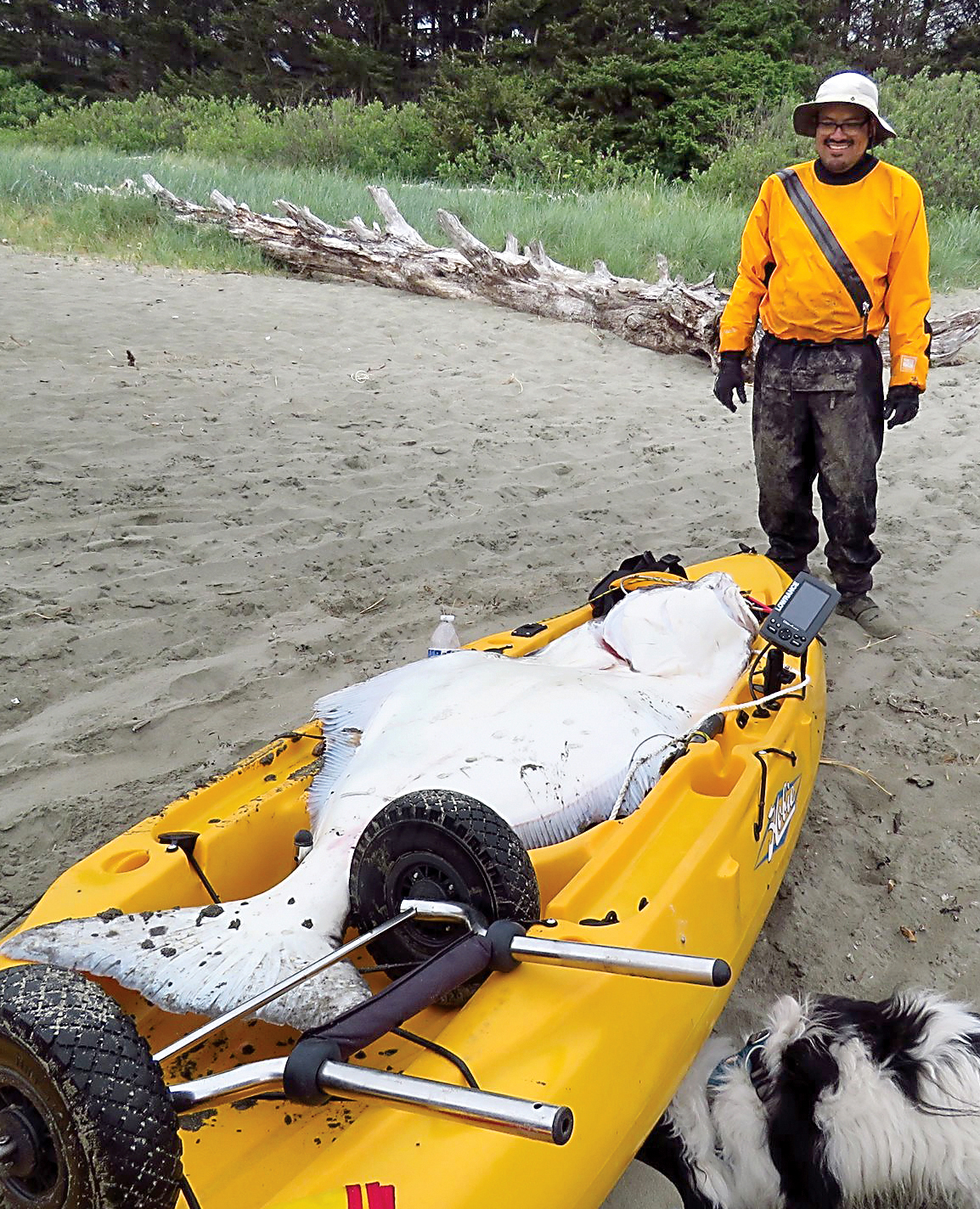 Leo Vergara of Edmonds caught this 124-pound halibut near Strawberry Rock in Makah Bay on a 12-foot Hobie Outback sea kayak. It is believed to be the largest halibut ever caught by a kayaker in the lower 48 states. ()