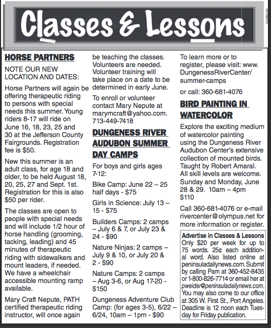The current 'Classes & Lessons' ((Click on image to enlarge))