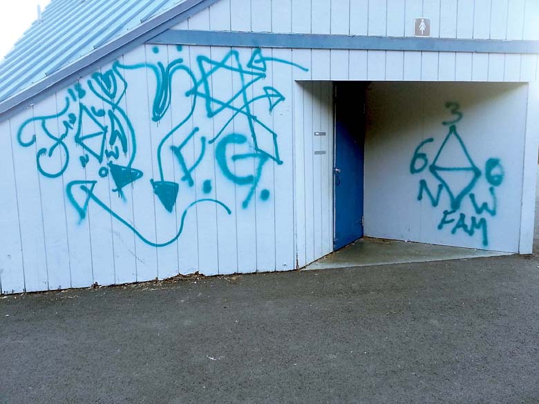 The bathroom building at Shane Park shows graffiti early Monday morning. (Jerimy Moody)