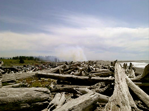 A driftwood fire burning on Rialto Beach on Saturday. (Jessica Hurley)