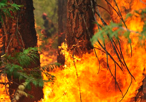 California's largest wildfire burning near the popular Hume Lake in the central Sierra Nevada is expected to rage through the holiday weekend