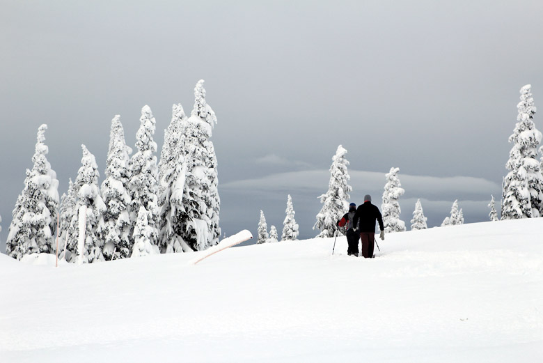 Snow enthusiasts make use of Hurricane Ridge last week. (Annie Sargent/Peninsula Daily News)