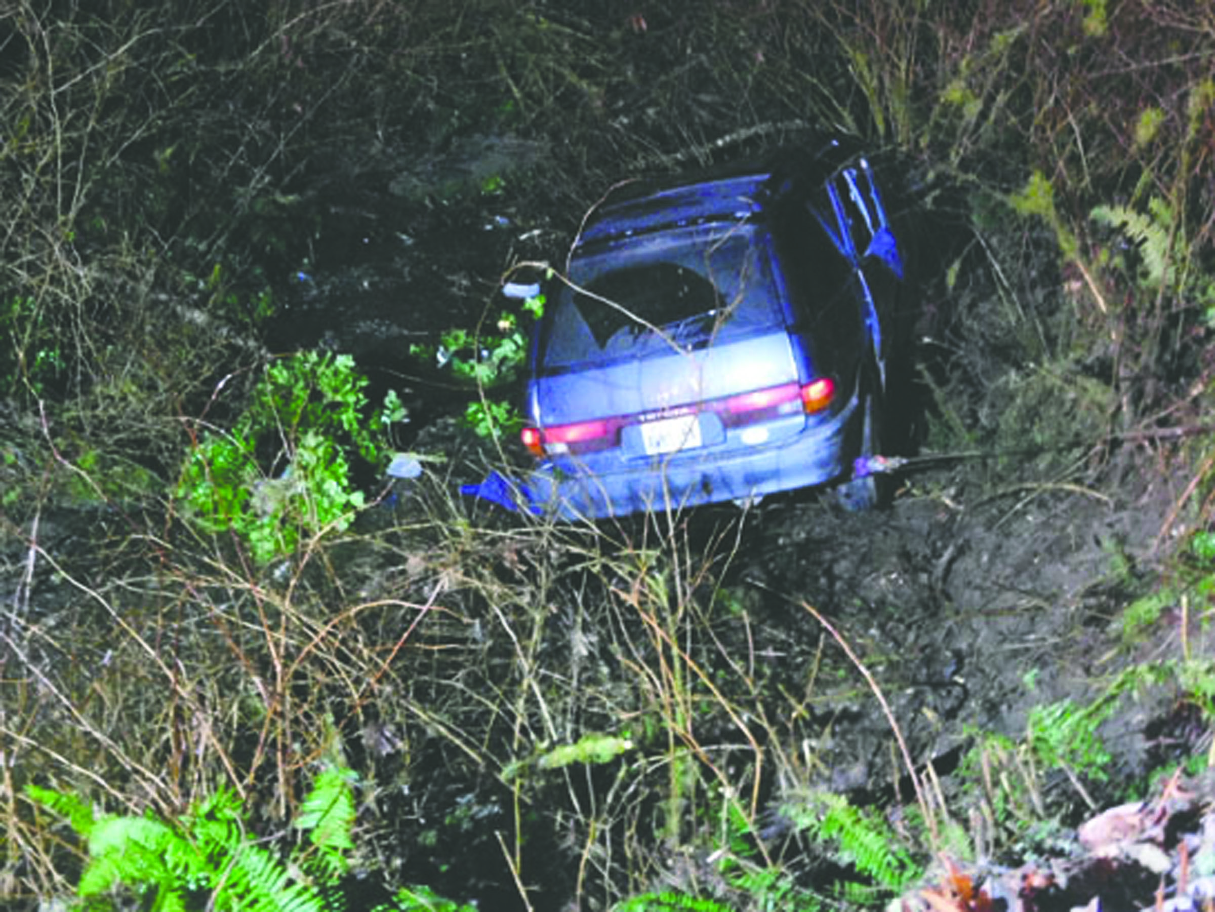 A blue Toyota van spun off Coyle Road on Sunday evening