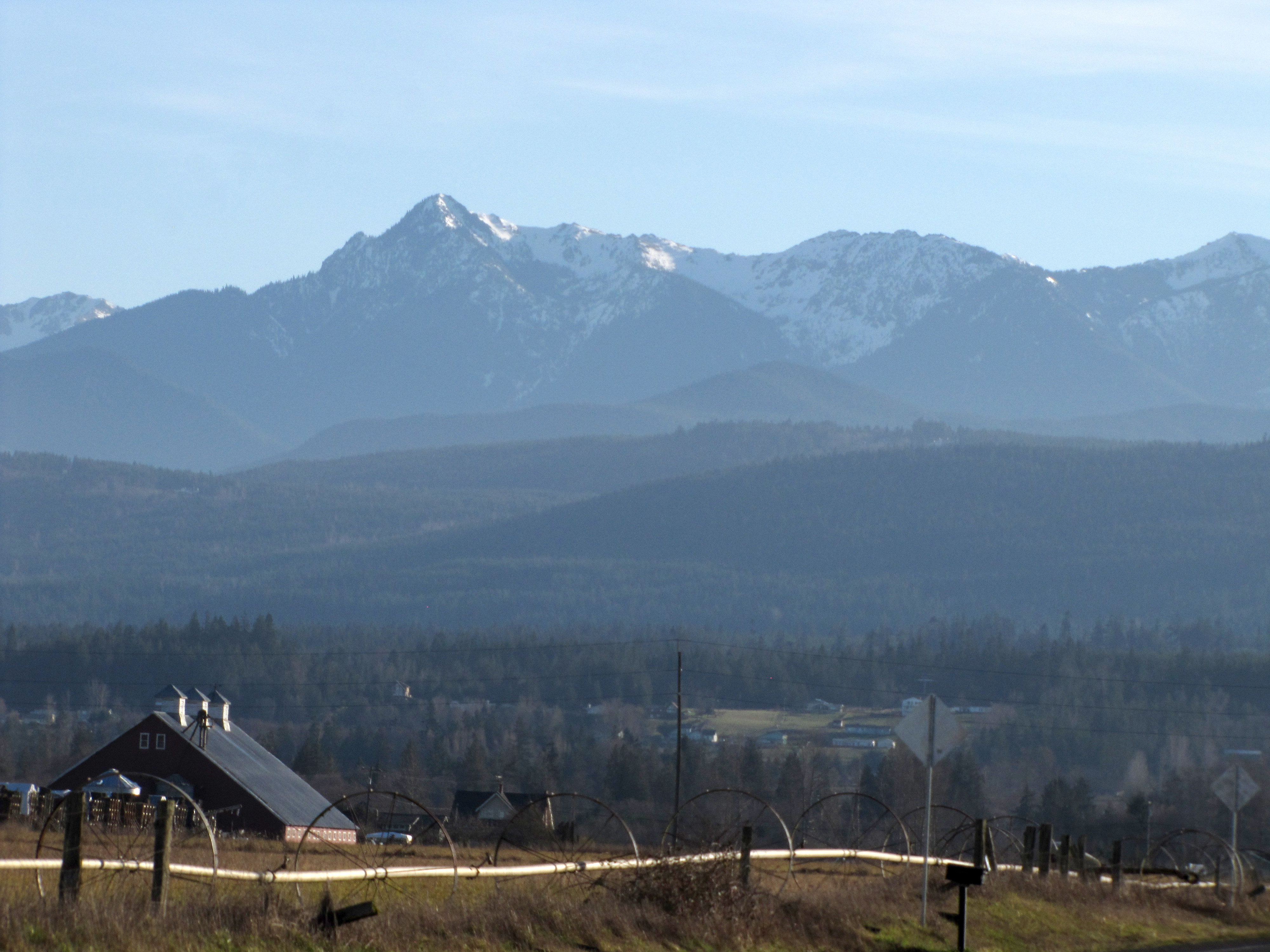 The snowcapped Olympic Mountains rise over an irrigated Dungeness farm field. (Arwyn Rice/Peninsula Daily News)
