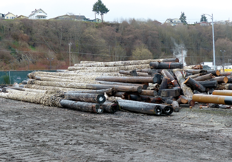 Wooden piles that were removed from Terminal 1 are stockpiled at the log surge yard next to Westport yachts in Port Angeles. — David G. Sellars/for Peninsula Daily News ()