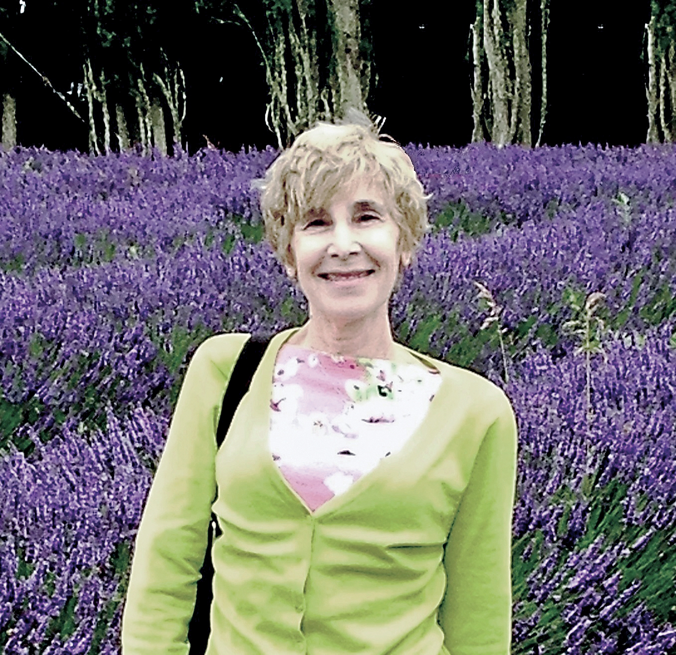 Poet Sally Albiso will read from her chapbook