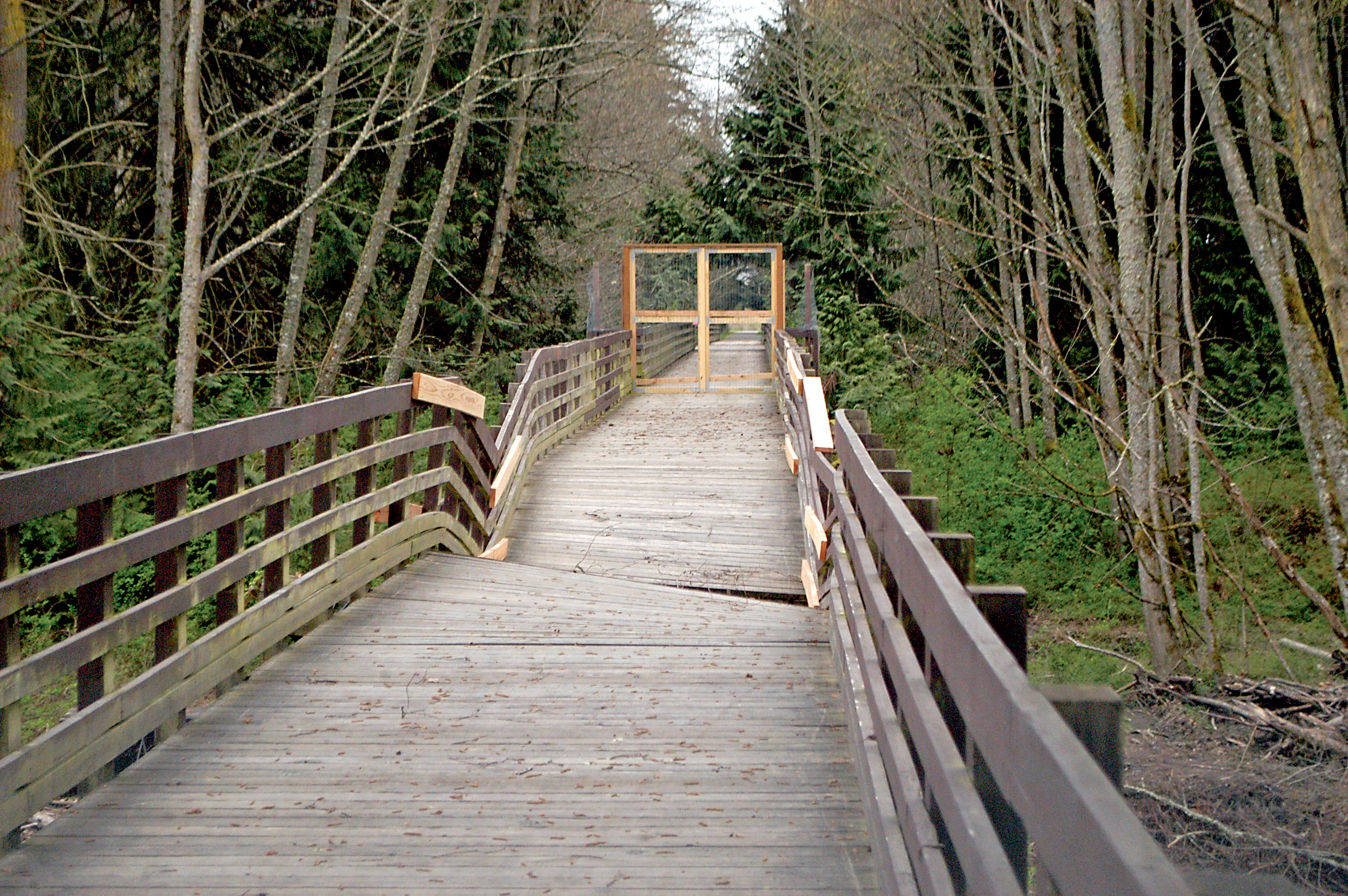 The western trestle of the Dungeness River Bridge remains barricaded after being damaged by a flood in early February. --Photo by Chris McDaniel/Peninsula Daily News ()