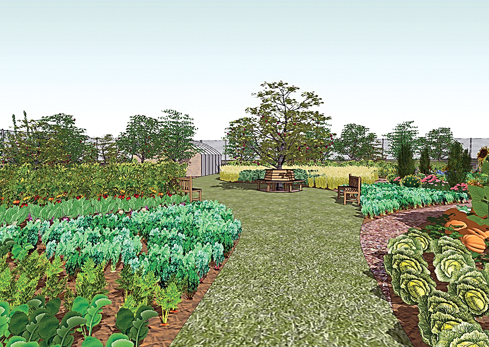 An architectural rendering of the planned community garden on 11th Street in Port Angeles. (Hank Gibson)