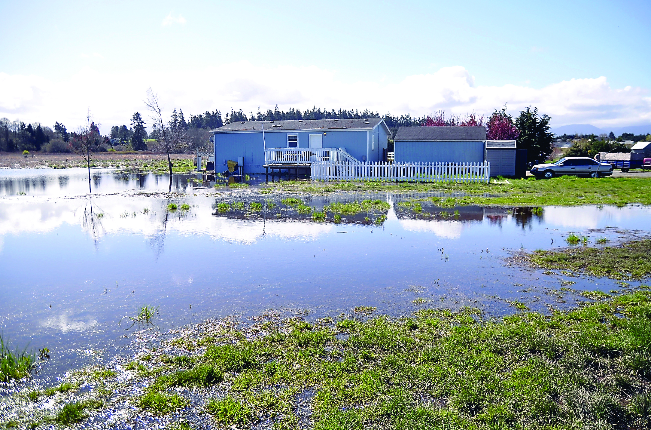 The yard of a home on Buds Way off Nisbet Road is swamped with several inches of standing water. Neighbor Norvin Knight says for the past month