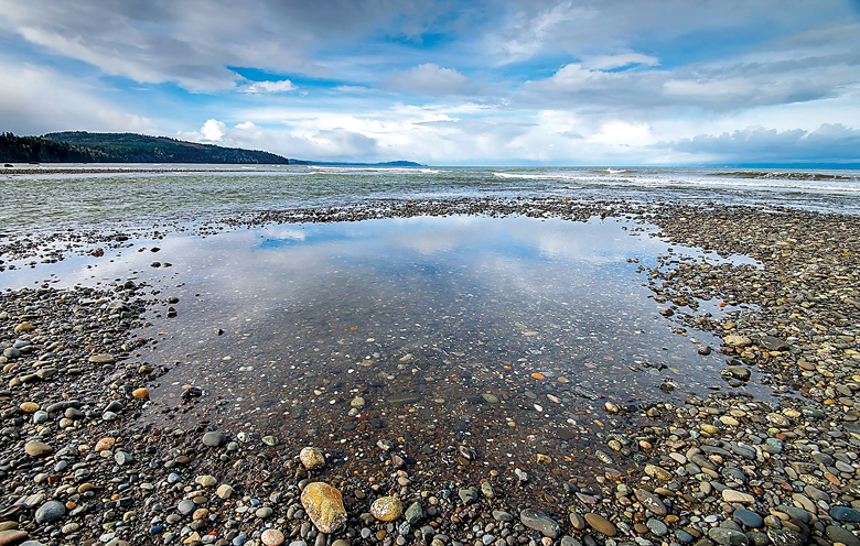 To celebrate the grand opening of the Lyre Conservation Area on April 23