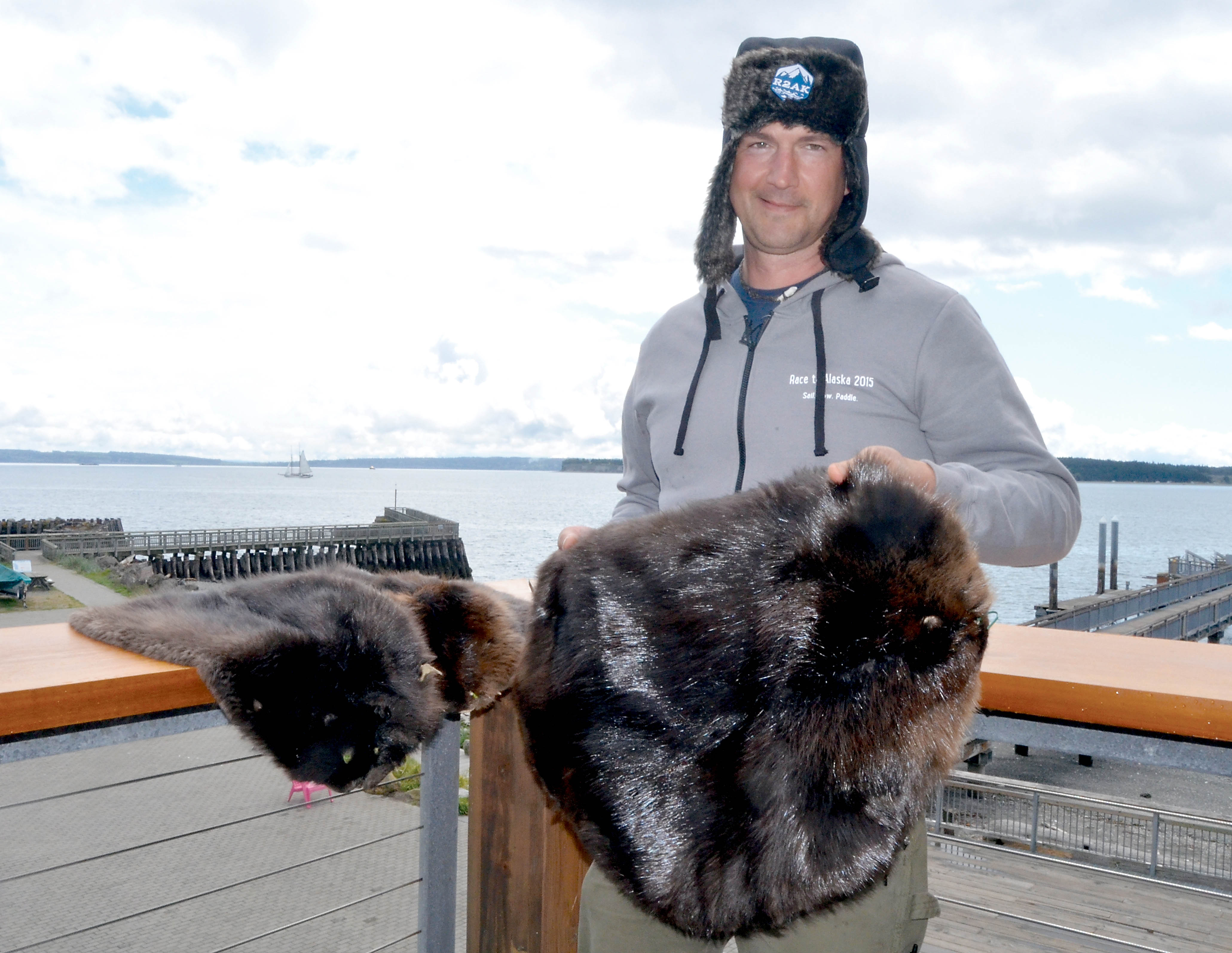 Race to Alaska boss Daniel Evans with three beaver pelts that were accepted as an entry fee for the boat race from Port Townsend to Ketchikan