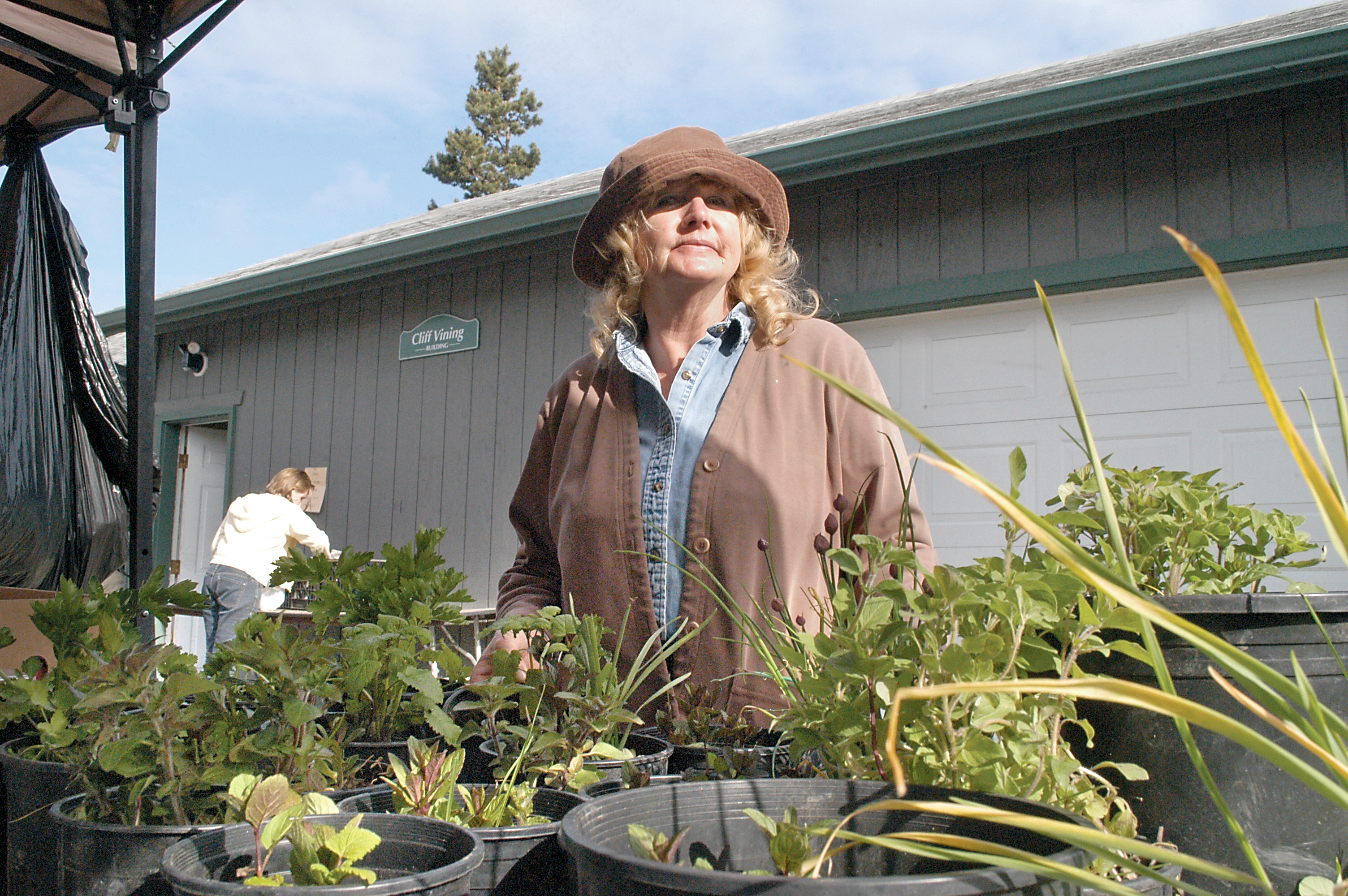 Deborah Apple of Blyn provides starter plants — including celery