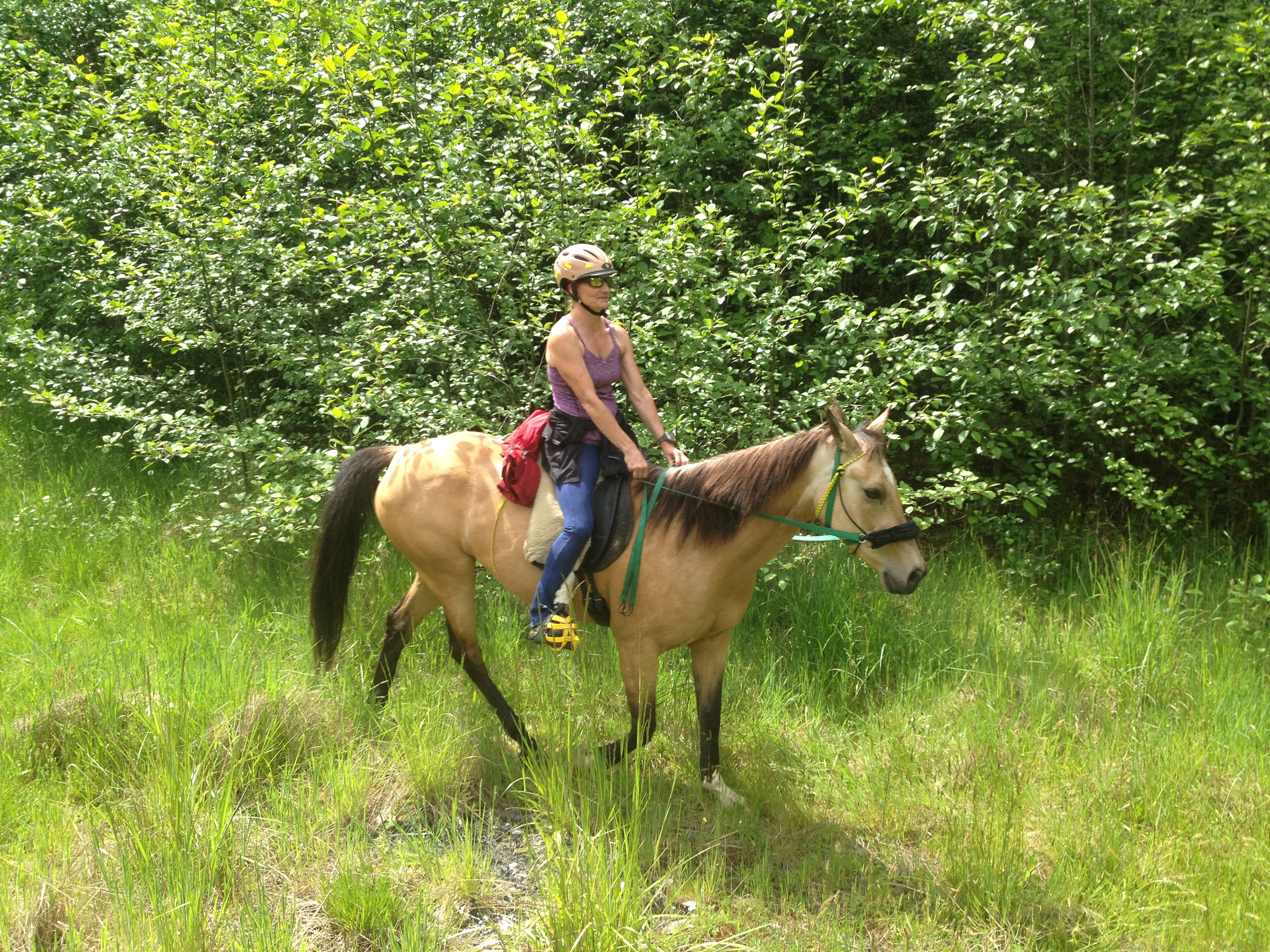 Sequim author and endurance trail riding competitor Lisa Preston on one of her Akhal-Teke horses. —Photo by Karen Griffiths/for Peninsula Daily News ()