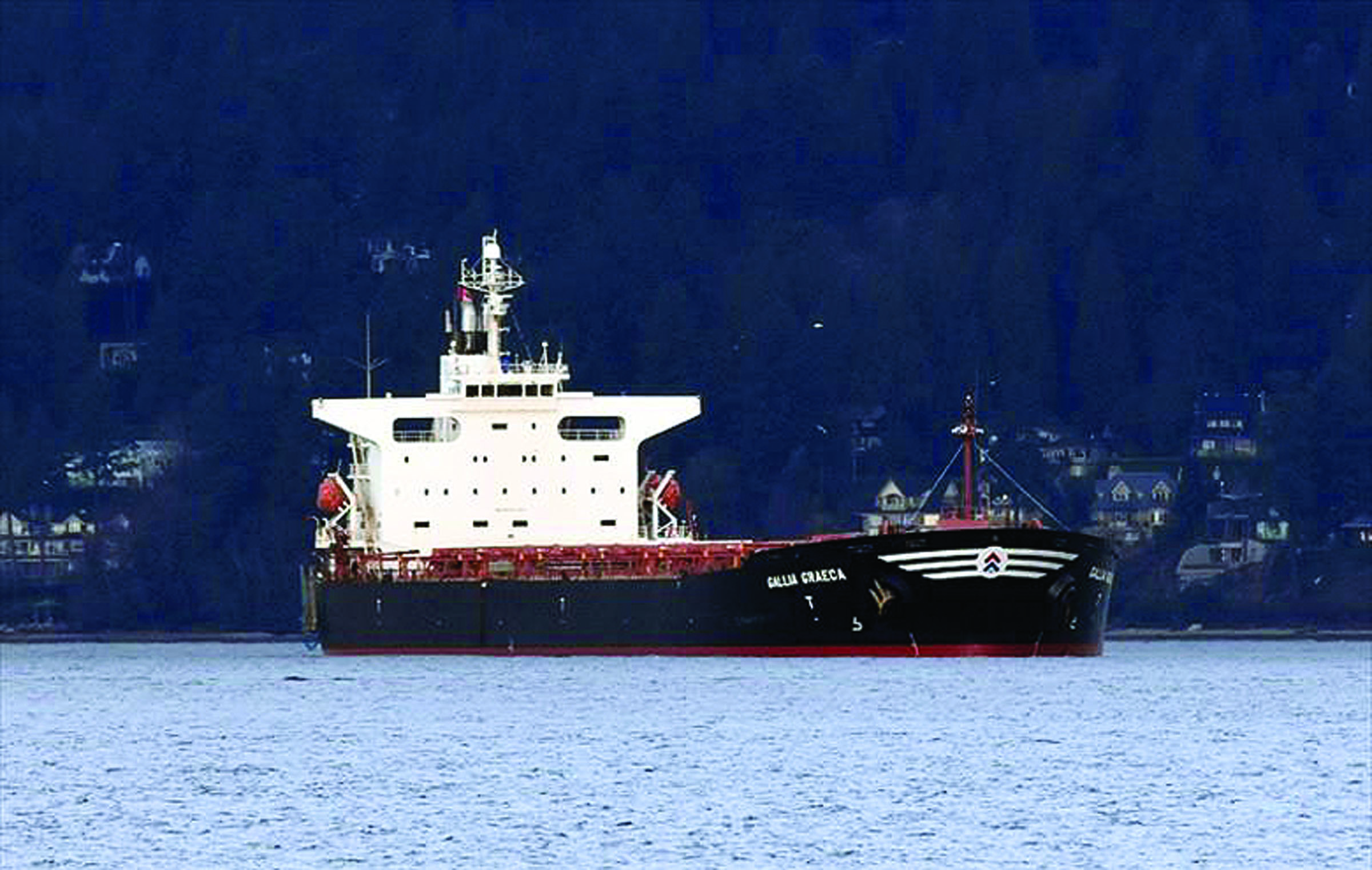 The 735-foot bulk carrier Gallia Graeca is anchored near Lighthouse Park in Vancouver