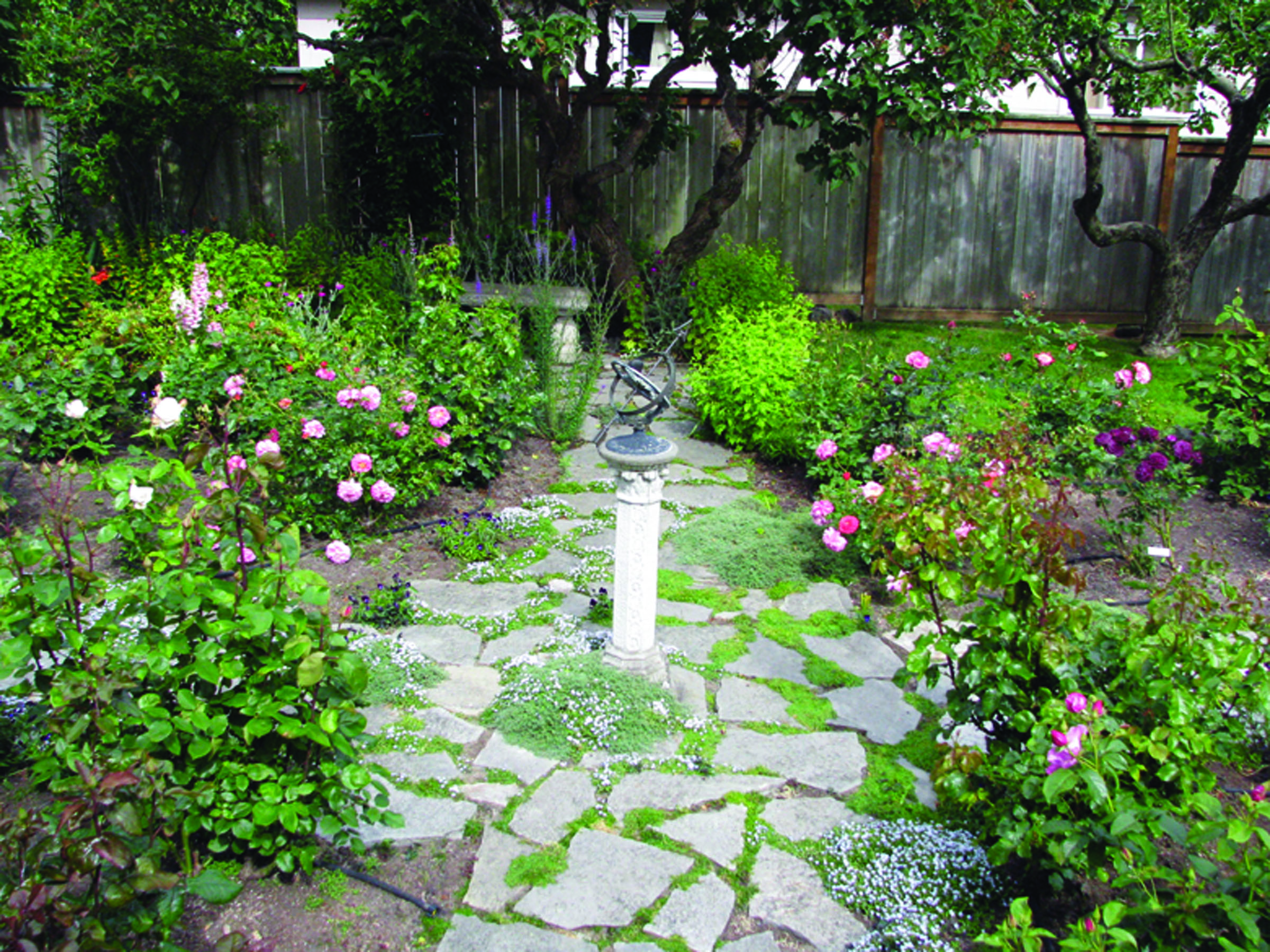 A large collection of roses and perennials highlights the cottage garden at 623 E. Fifth St.