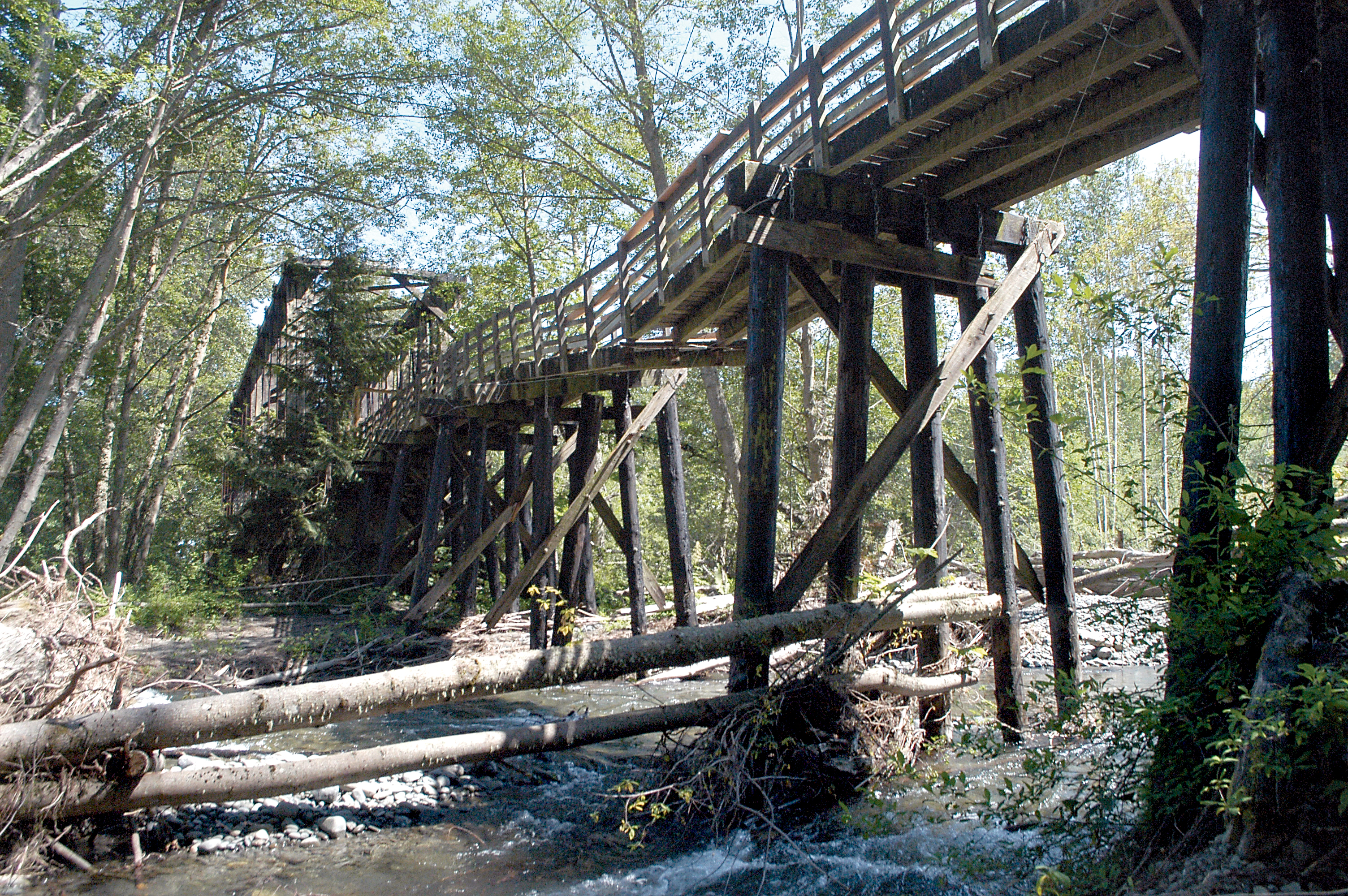 A project to replace a damaged trestle to the west of the Railroad Bridge over the Dungeness River is estimated to cost $1.8 million. — Chris McDaniel/Peninsula Daily News ()