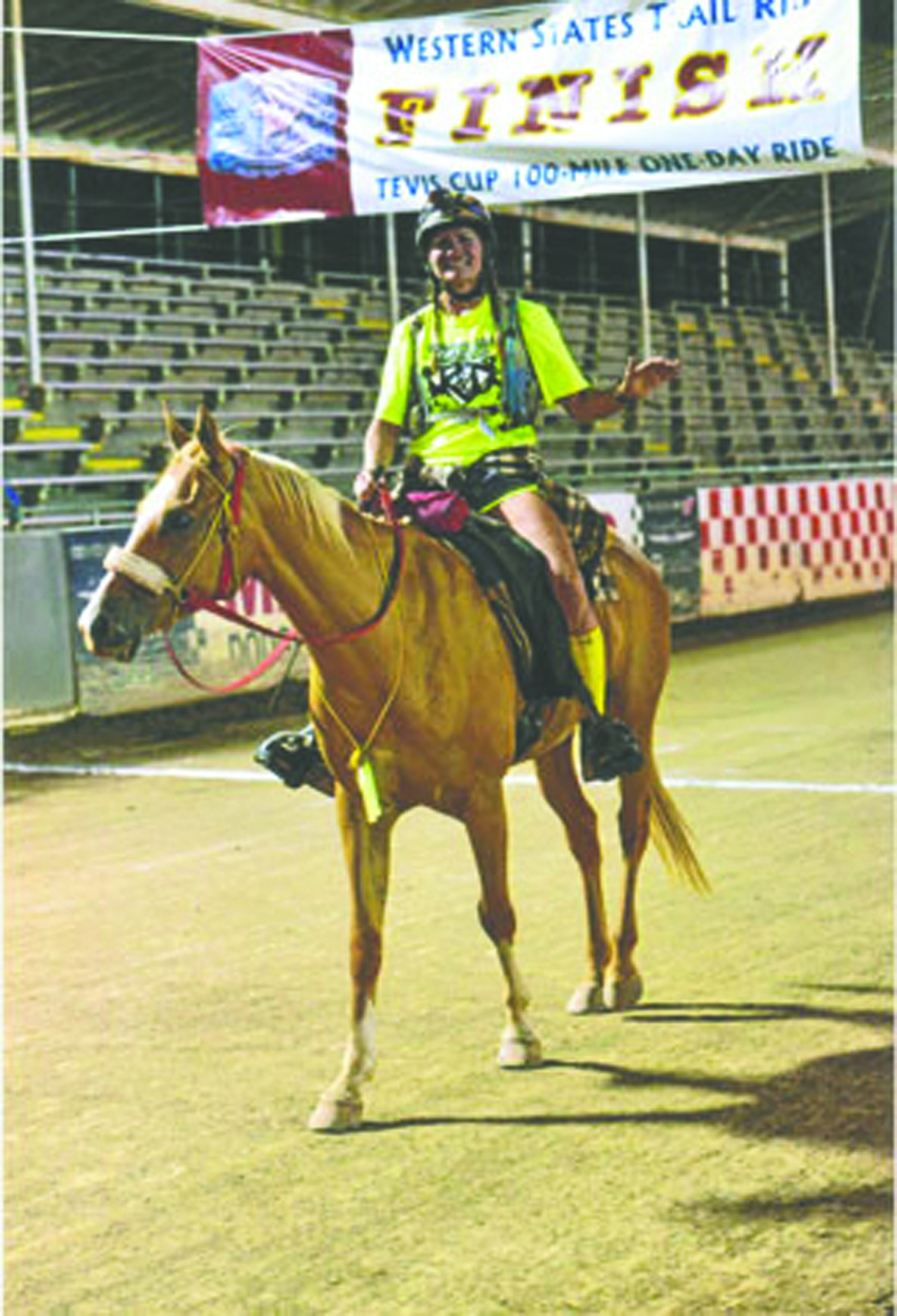 The Ultimate Guide to Horse Feed