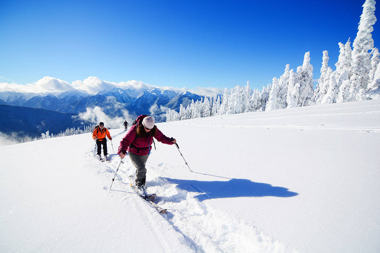 Celia Thompson of Port Angeles leads a group of cross-country skiers at Hurricane Ridge on Dec. 4, 2016. (Jesse Major/Peninsula Daily News)