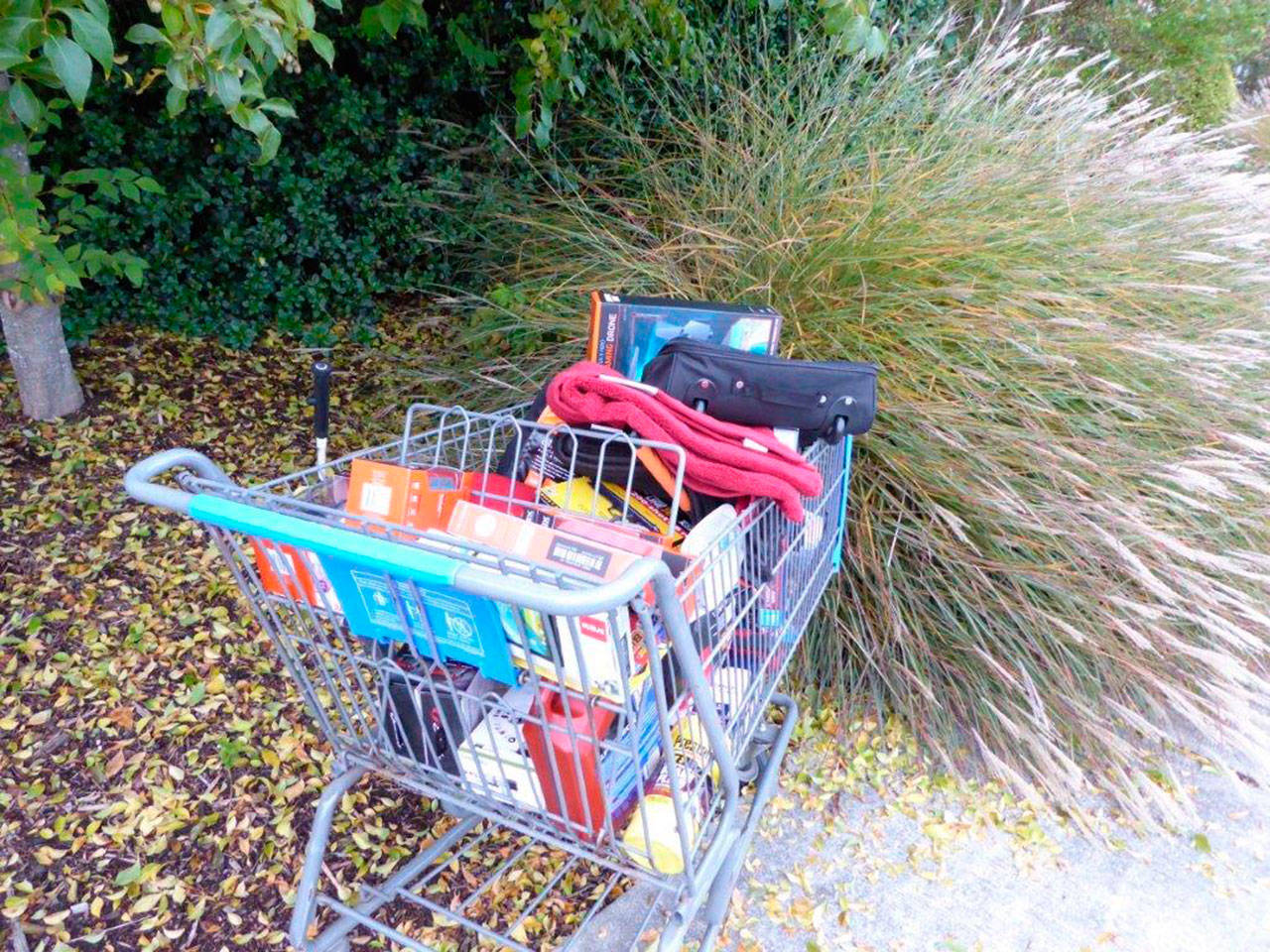 Deputies say Jason Brack, 20, stole a shopping cart with nearly $1,000 worth of merchandise from the Sequim Walmart on Saturday. (Clallam County Sheriff’s Office)