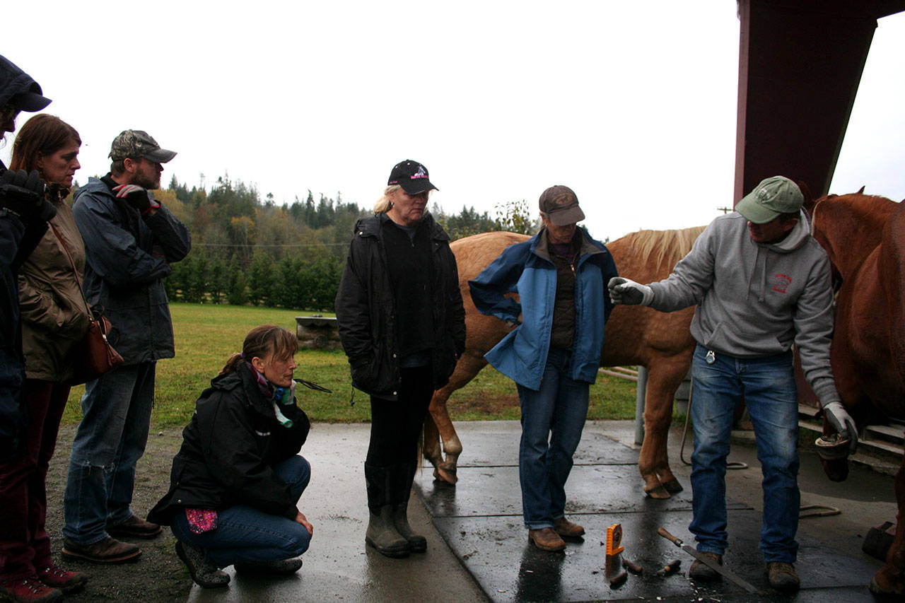 Michelle Constantine (kneeling), Cindy Johnson and Ella Worthington listen as Jerry Schmidt stresses the importance of thoroughly cleaning tiny rocks and debris out of all of the hoof’s nooks and crannies prior to trimming with a hoof knife and rasp. More than 15 students took part in Freedom Farm’s Feet First — Hoof Care Clinic with Schmidt on Nov. 12. (Karen Griffiths/for Peninsula Daily News)