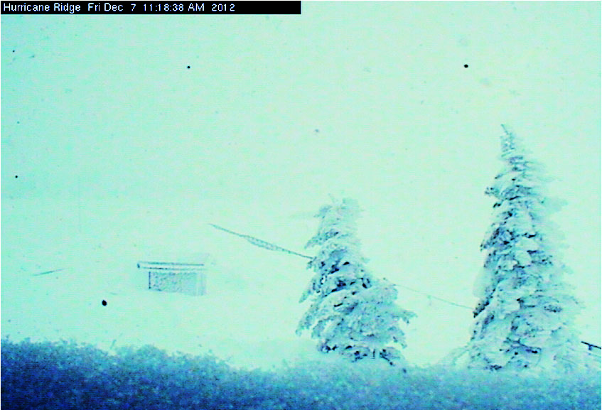 The view from the Hurricane Ridge webcam out toward the parking lot just before noon today. National Park Service