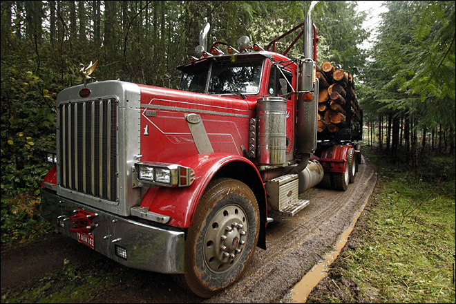 A loaded logging truck heads down the road in the forest near Banks