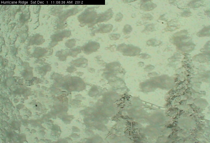 Snow obscures this Hurricane Ridge webcam scene of the parking lot