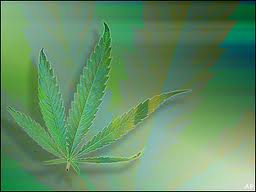 President's pot comments prompt call for policy to end confusion