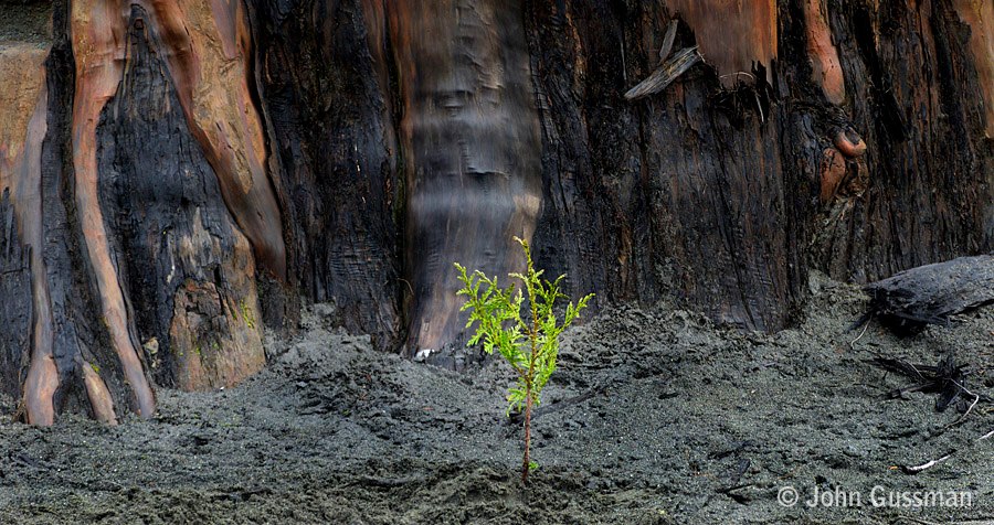 Click on photo to enlarge