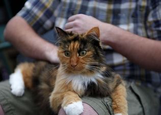 Alex Bismore and his cat